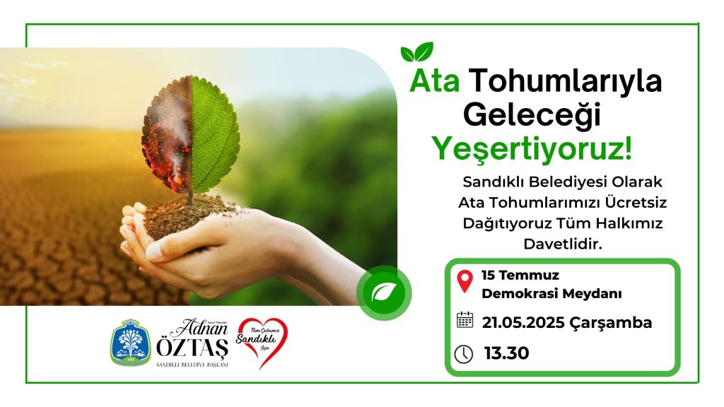 ATA TOHUMU DAĞITIMI